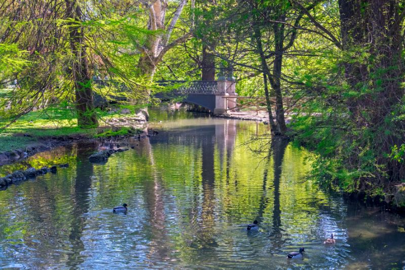 picnic a parco Sempione  a Milano