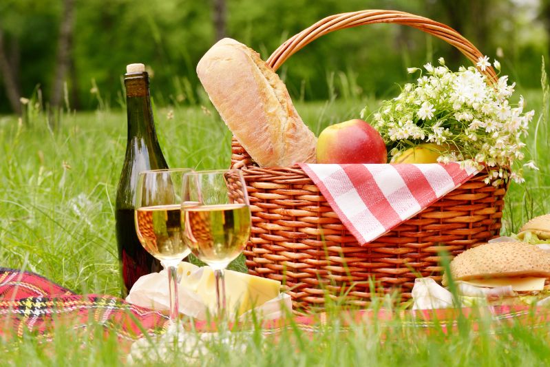 Dove Fare un Picnic a Milano - Le Migliori Location 🌳